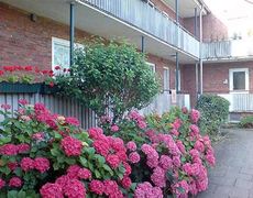 +++ANFRAGESTOPP+++Tolle 2-Zimmer Wohnung direkt am Werftpark+++