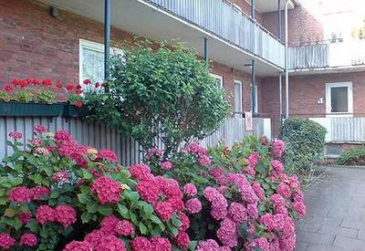 +++ANFRAGESTOPP+++Tolle 2-Zimmer Wohnung direkt am Werftpark+++